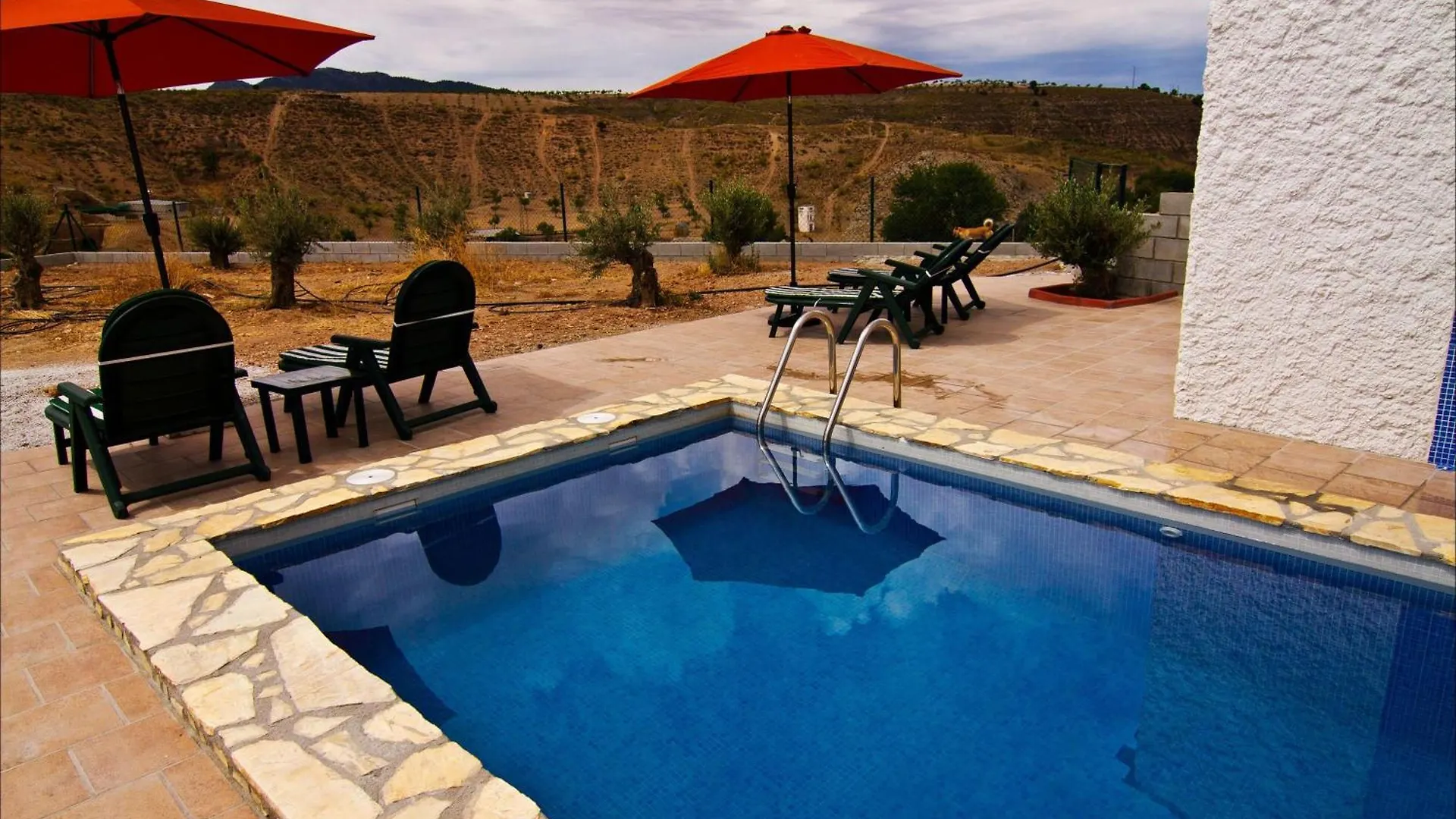 Cueva Pura Vida Bed and Breakfast Pulpite